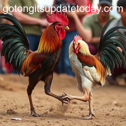 Tongits Go update today